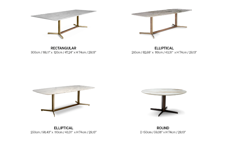 بخش داینامیک